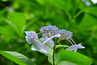 DSC_3369 (Large).JPG